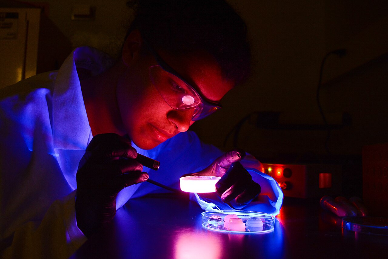 What Scientists Just Discovered About the Human Brain